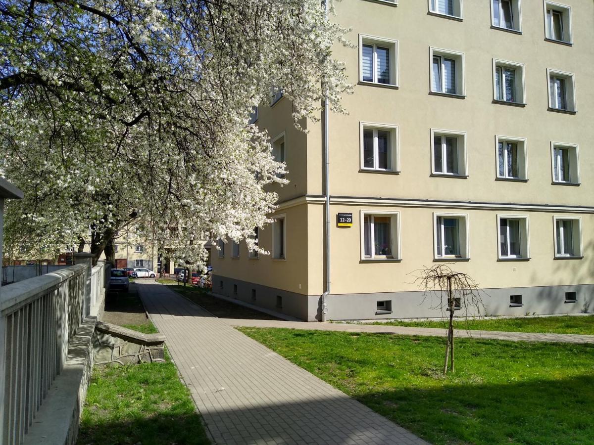 Apartment Bluebird Katowice Near Spodek Mck & City Center Екстер'єр фото